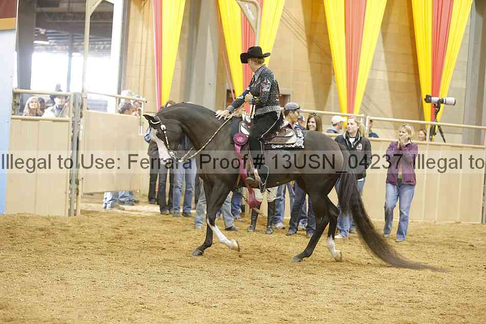 Proof 13usn_04237