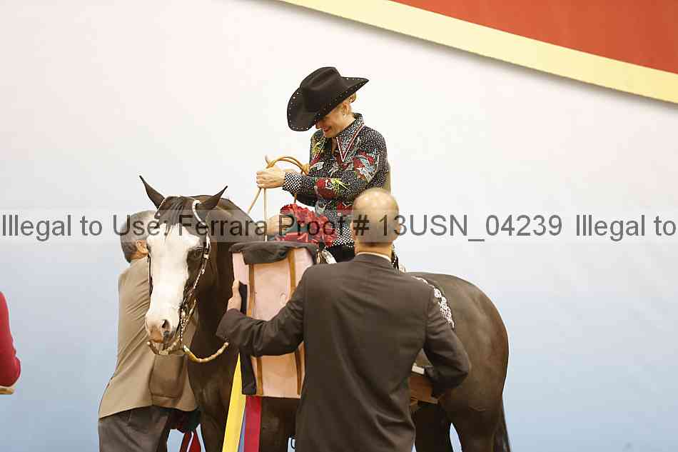Proof 13usn_04239