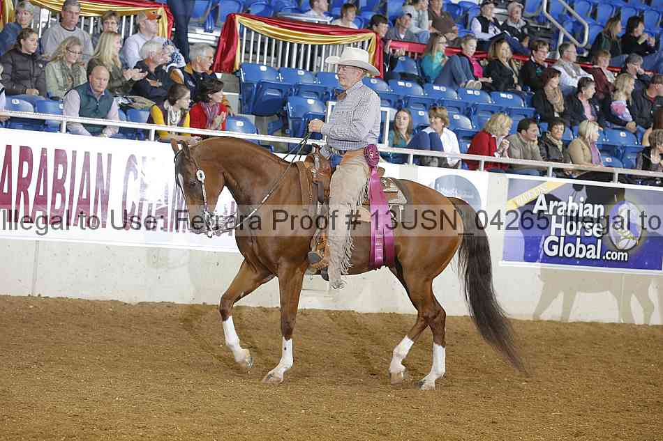 Proof 13usn_04265