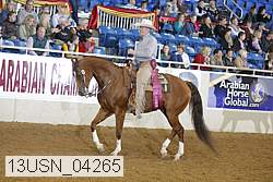 13usn_04265 proof