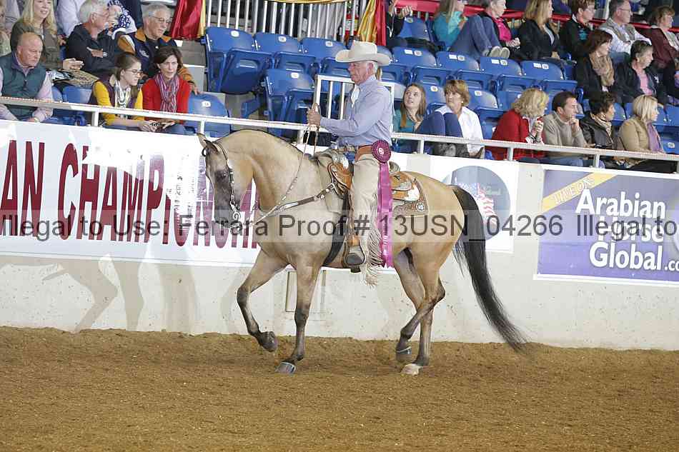 Proof 13usn_04266