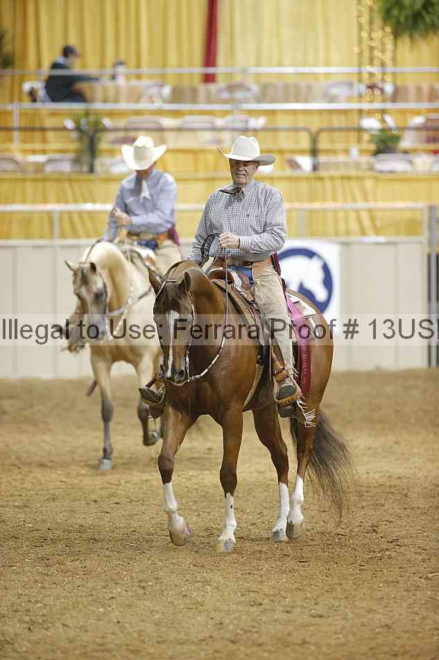 Proof 13usn_04268