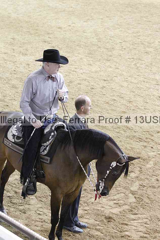 Proof 13usn_04495