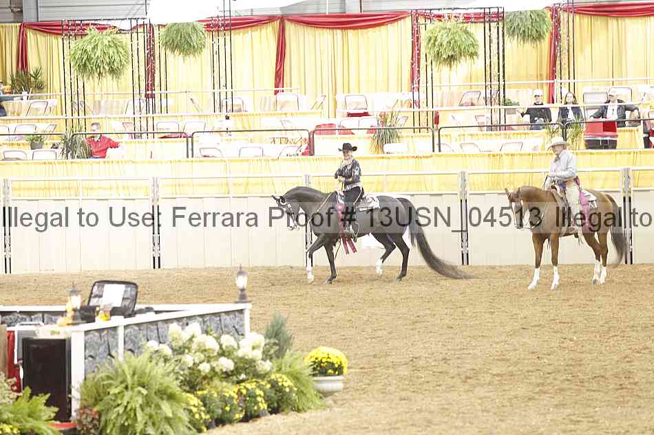 Proof 13usn_04513