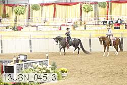 13usn_04513 proof