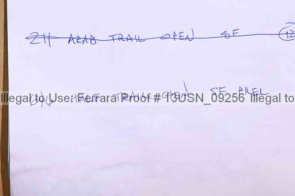 Proof 13usn_09256