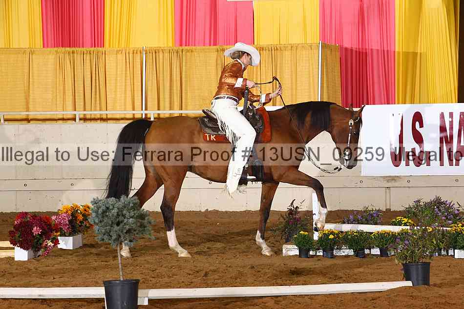Proof 13usn_09259