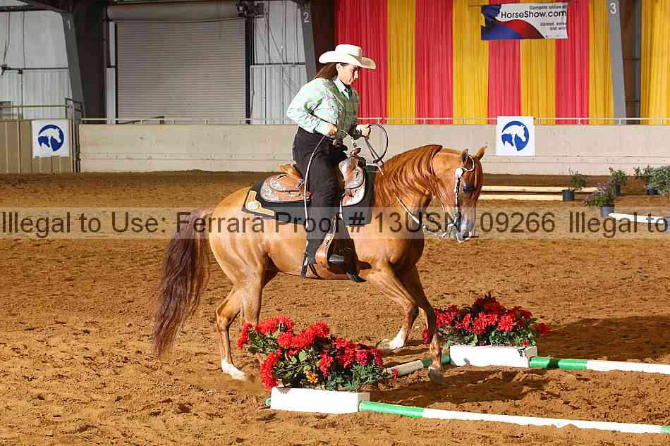 Proof 13usn_09266