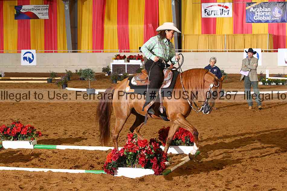 Proof 13usn_09267