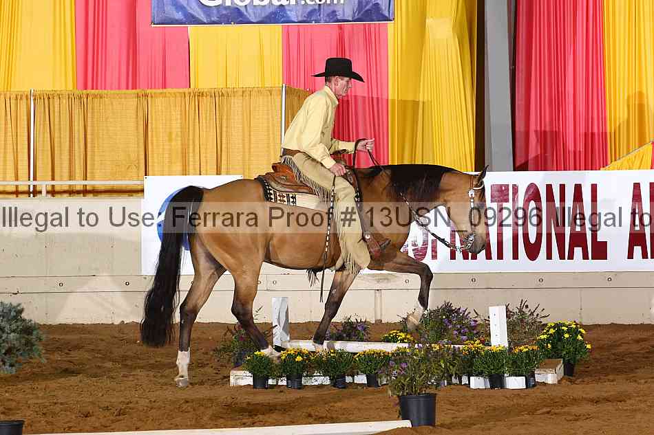 Proof 13usn_09296