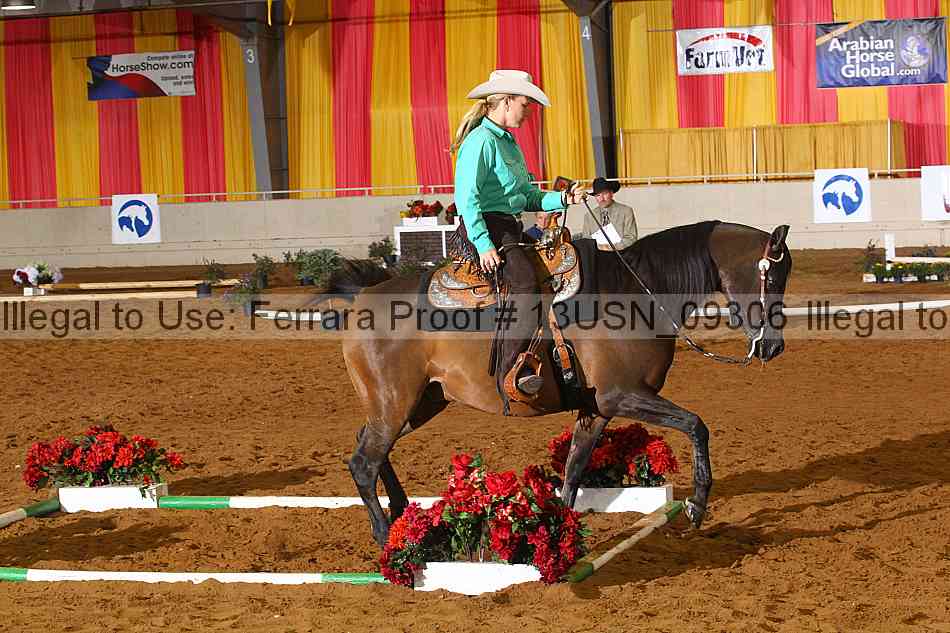 Proof 13usn_09306