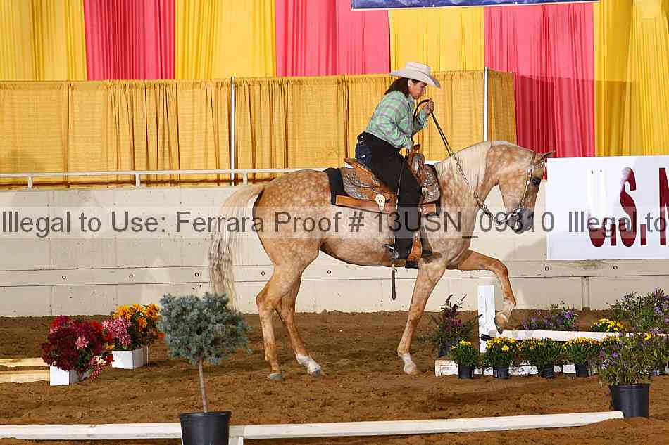 Proof 13usn_09310