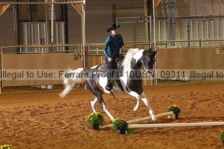 Proof 13usn_09311