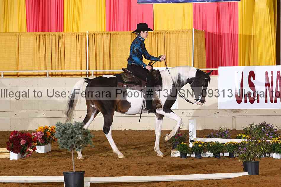 Proof 13usn_09313