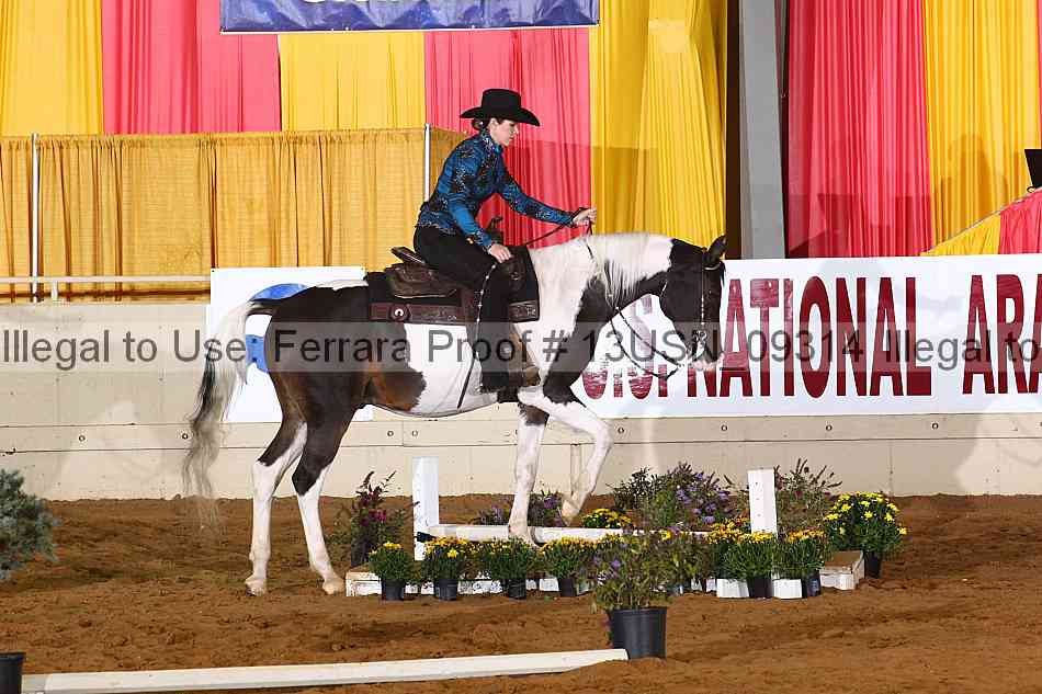 Proof 13usn_09314