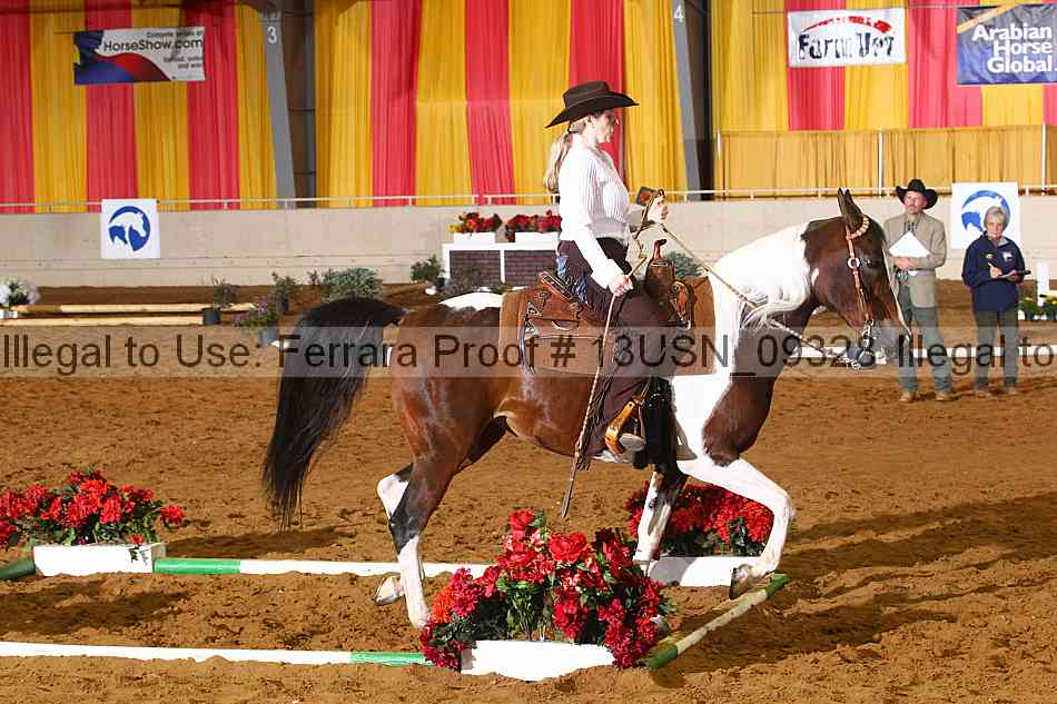 Proof 13usn_09328