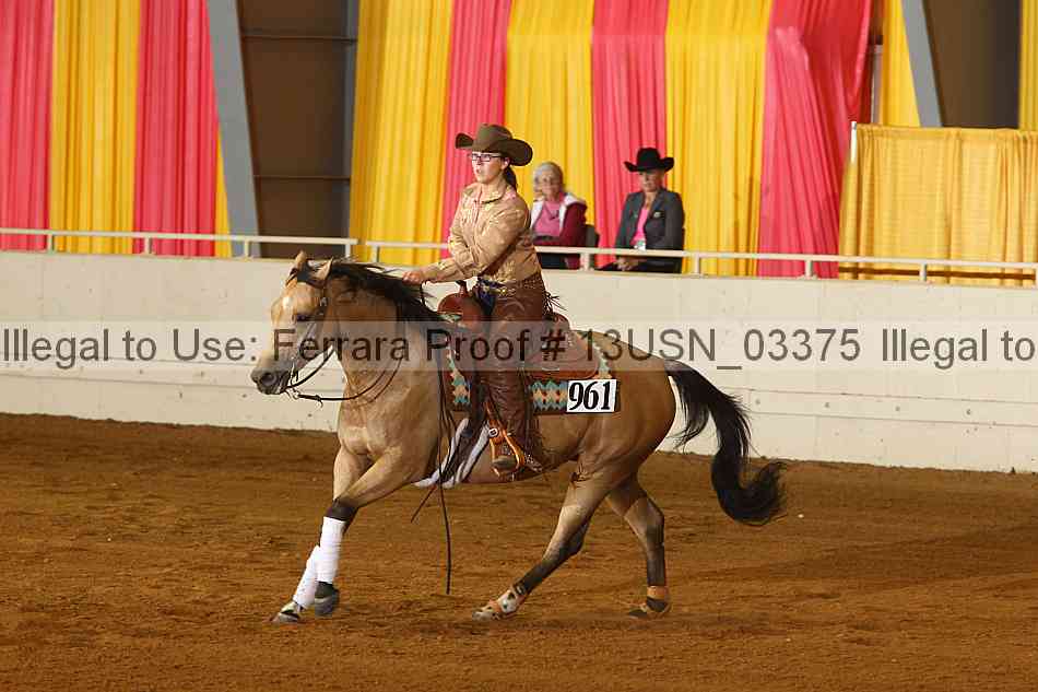 Proof 13usn_03375