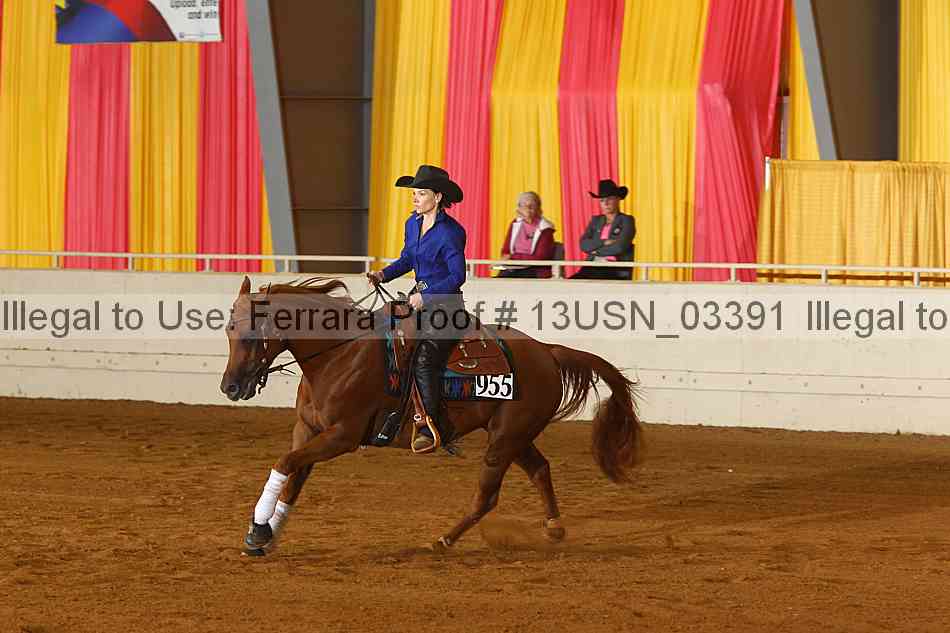 Proof 13usn_03391