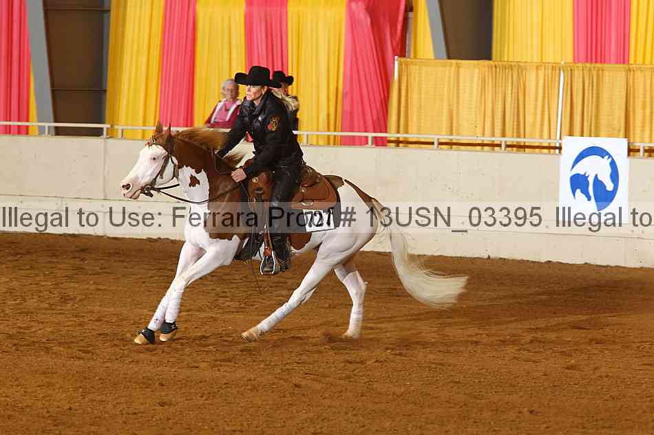 Proof 13usn_03395