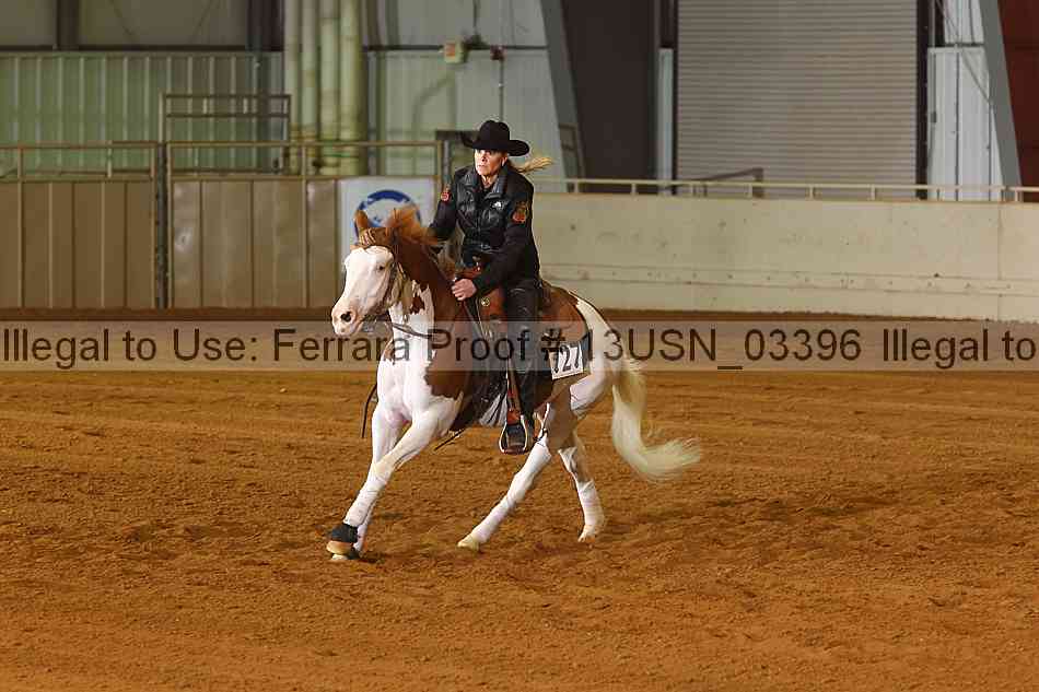 Proof 13usn_03396