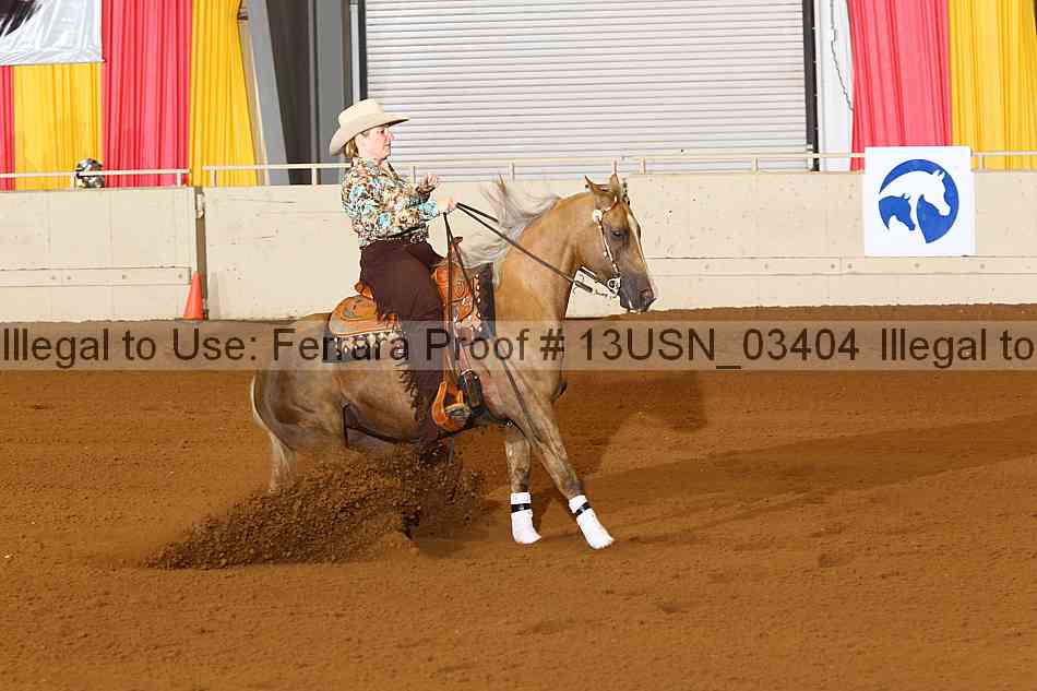 Proof 13usn_03404