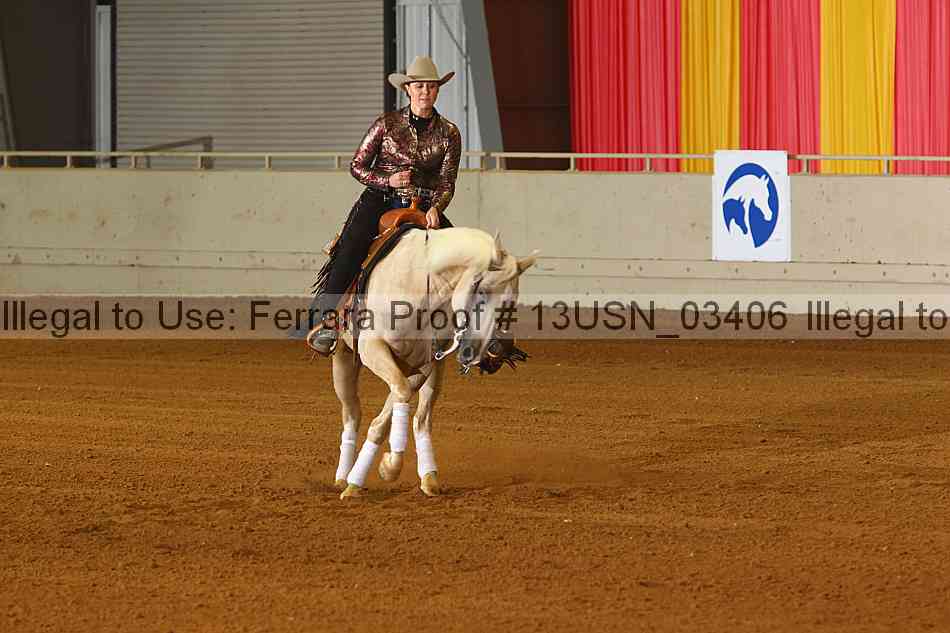 Proof 13usn_03406
