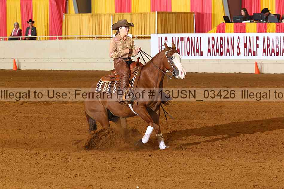 Proof 13usn_03426