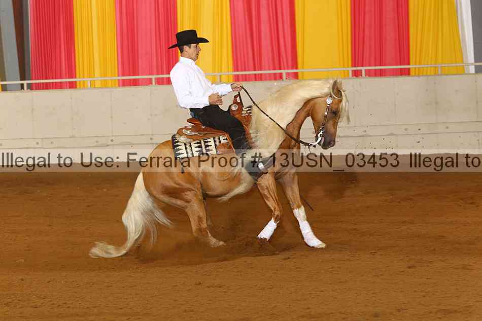 Proof 13usn_03453