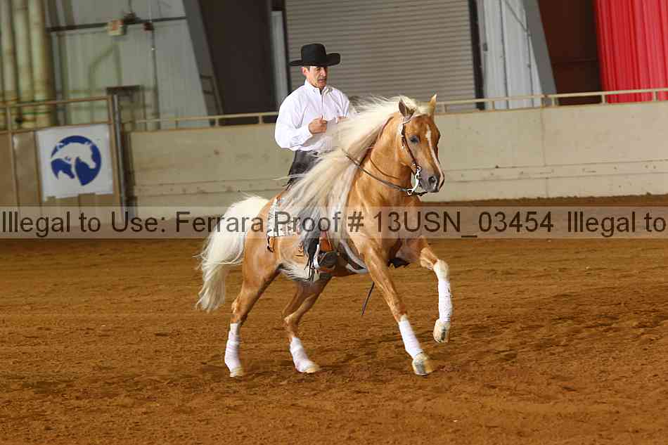Proof 13usn_03454