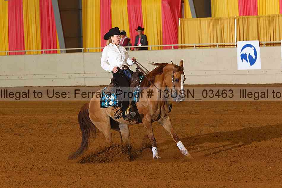 Proof 13usn_03463
