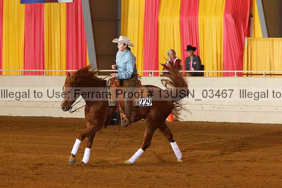 Proof 13usn_03467