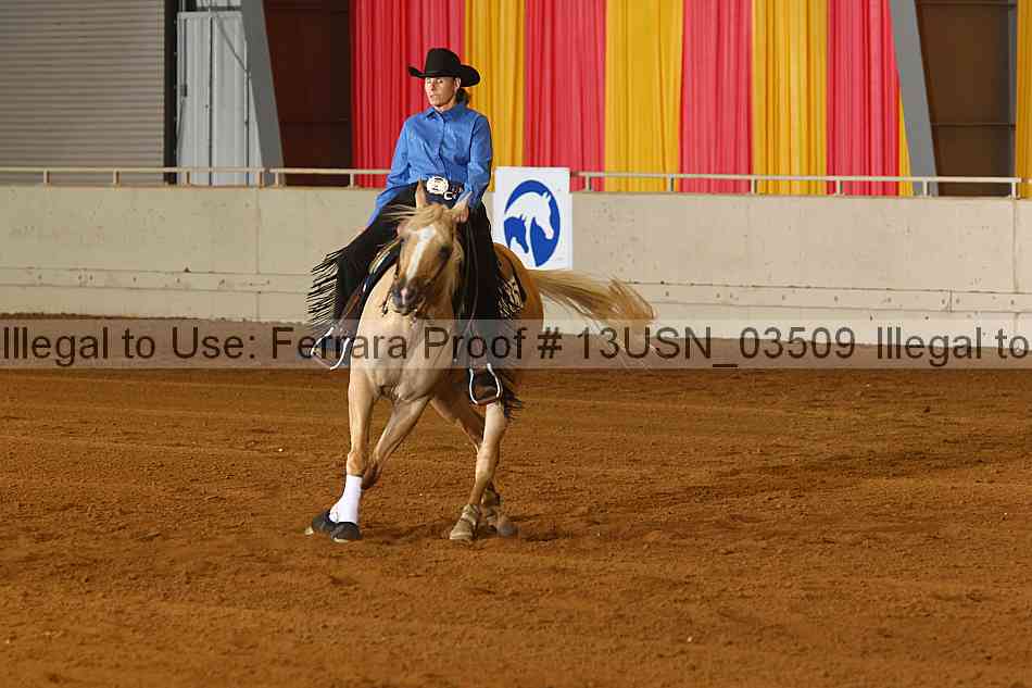 Proof 13usn_03509