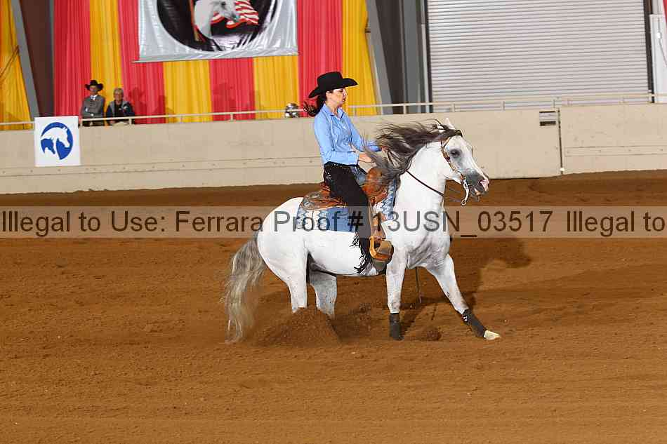 Proof 13usn_03517