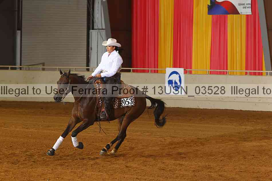 Proof 13usn_03528