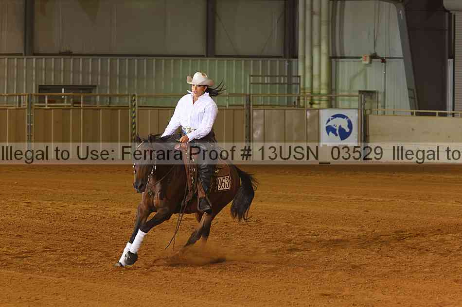 Proof 13usn_03529