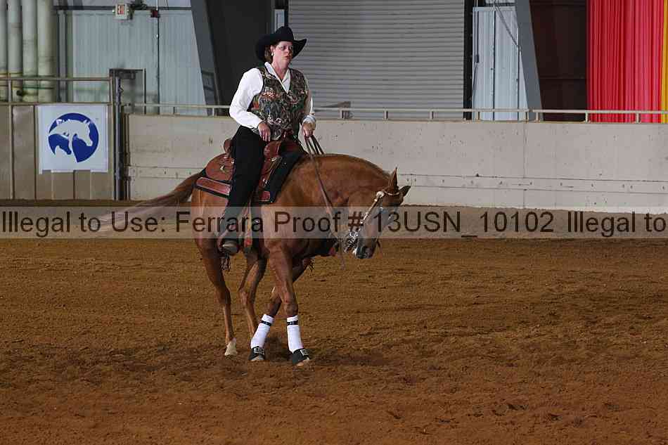 Proof 13usn_10102