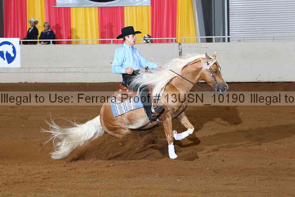 Proof 13usn_10190