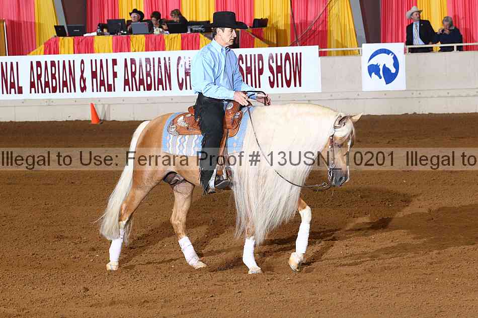 Proof 13usn_10201