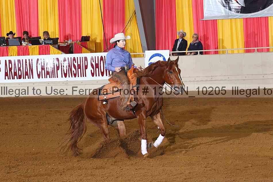 Proof 13usn_10205