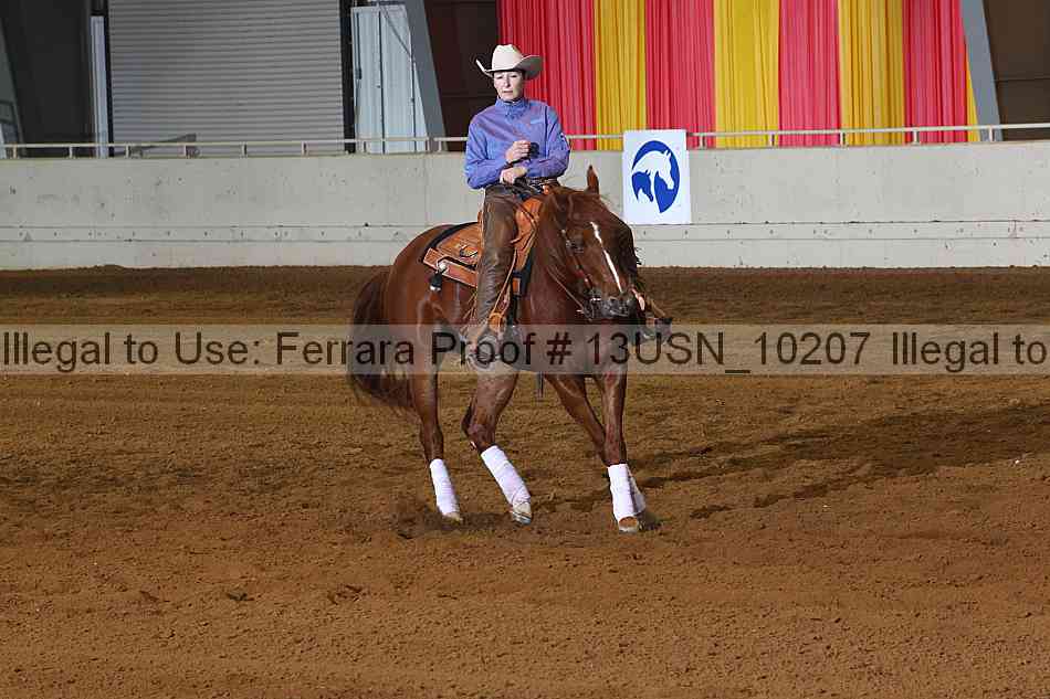 Proof 13usn_10207
