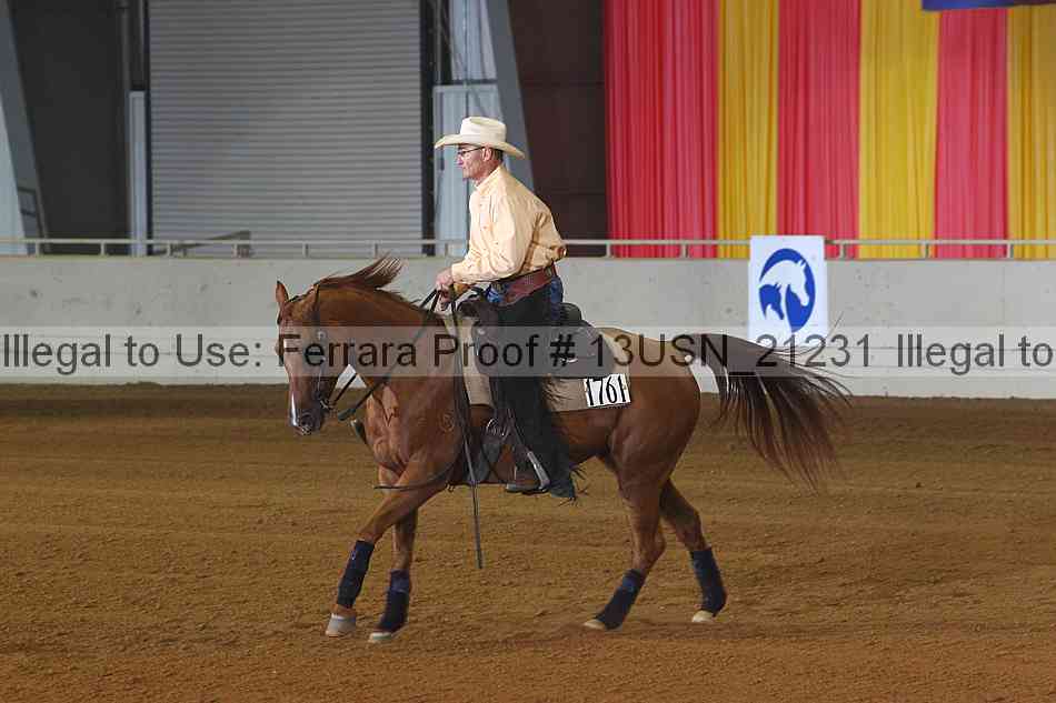 Proof 13usn_21231