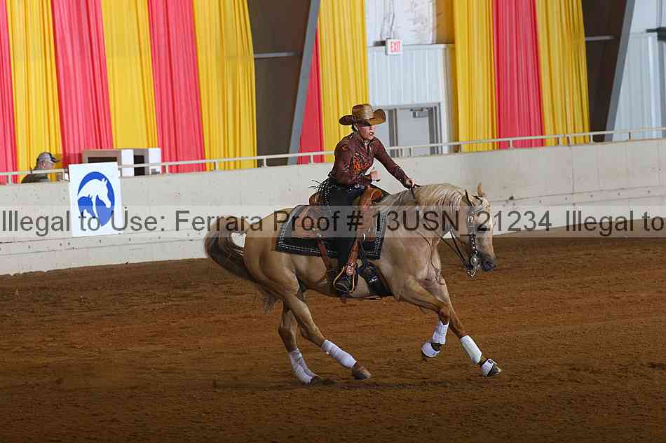Proof 13usn_21234