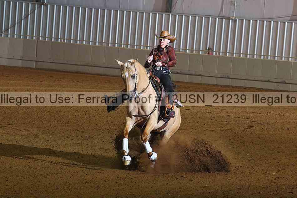 Proof 13usn_21239