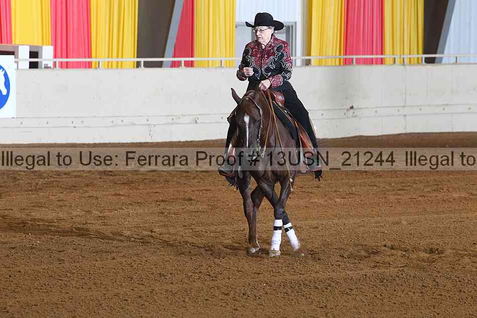 Proof 13usn_21244