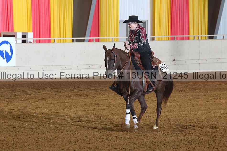 Proof 13usn_21245