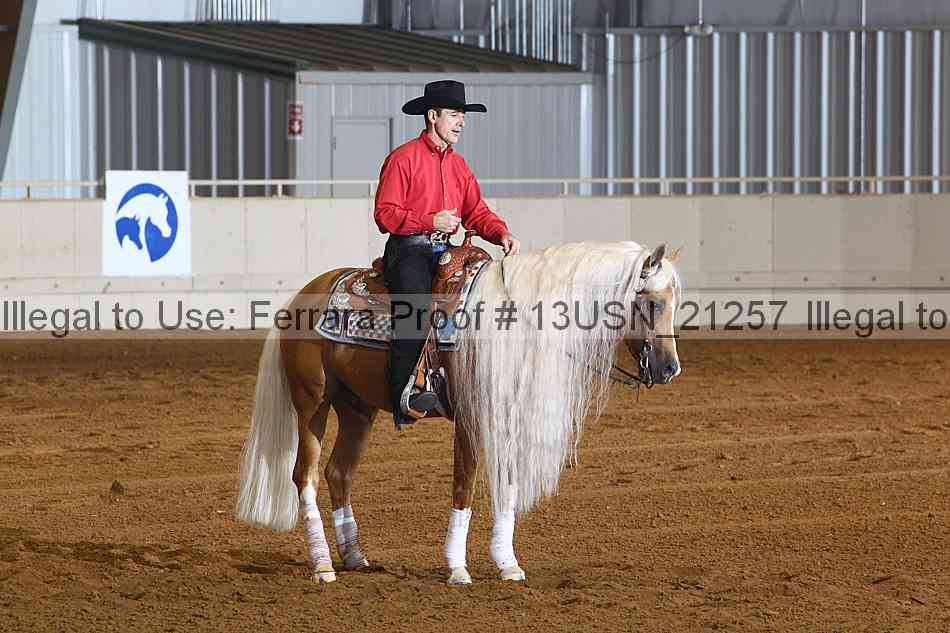 Proof 13usn_21257