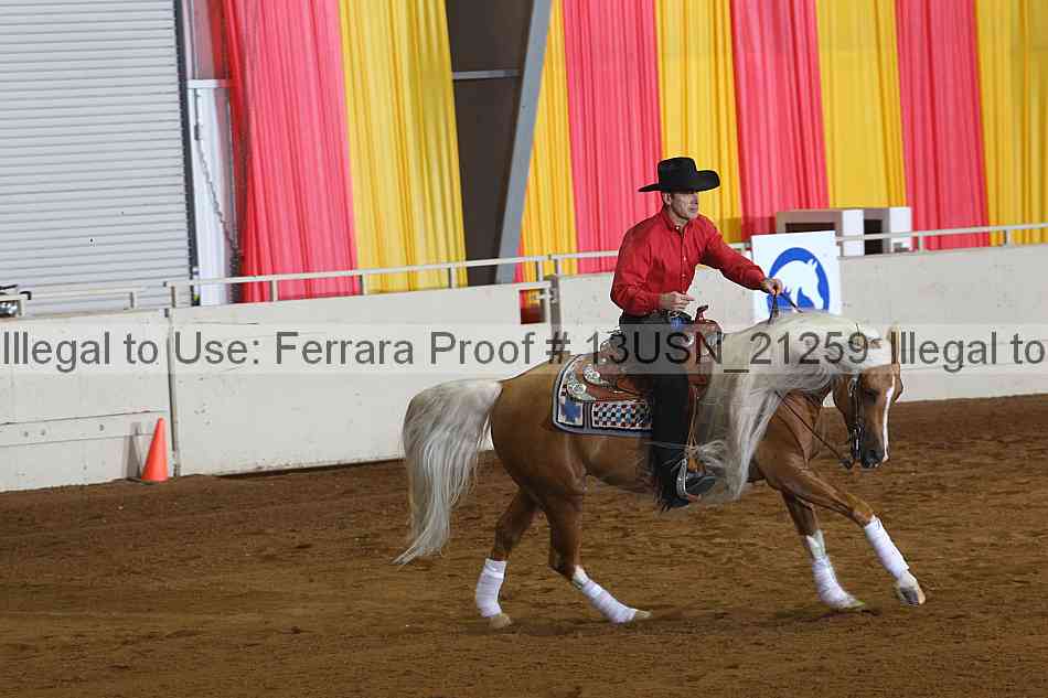 Proof 13usn_21259