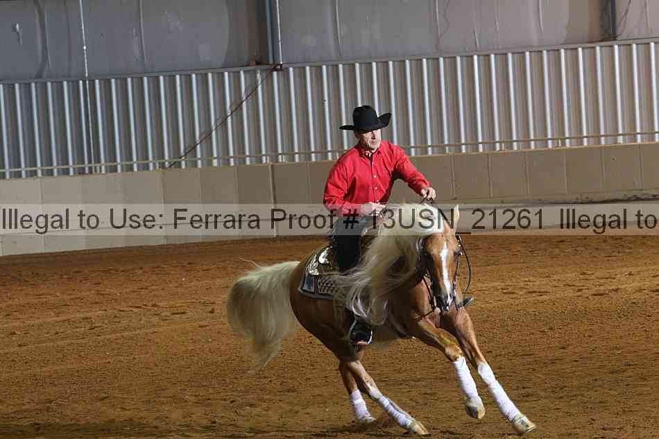Proof 13usn_21261