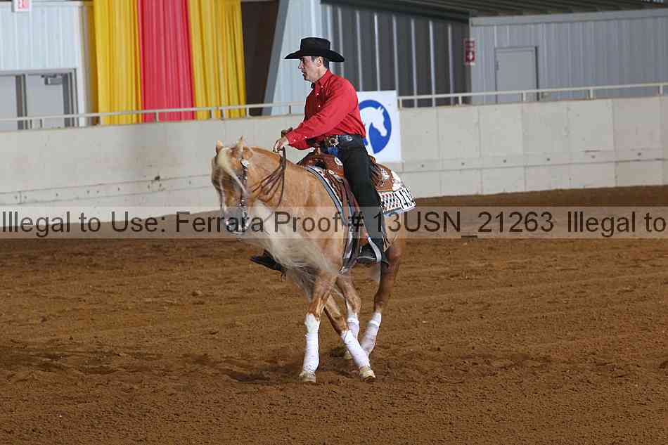 Proof 13usn_21263