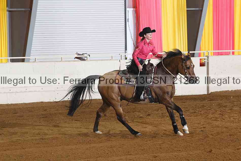 Proof 13usn_21268